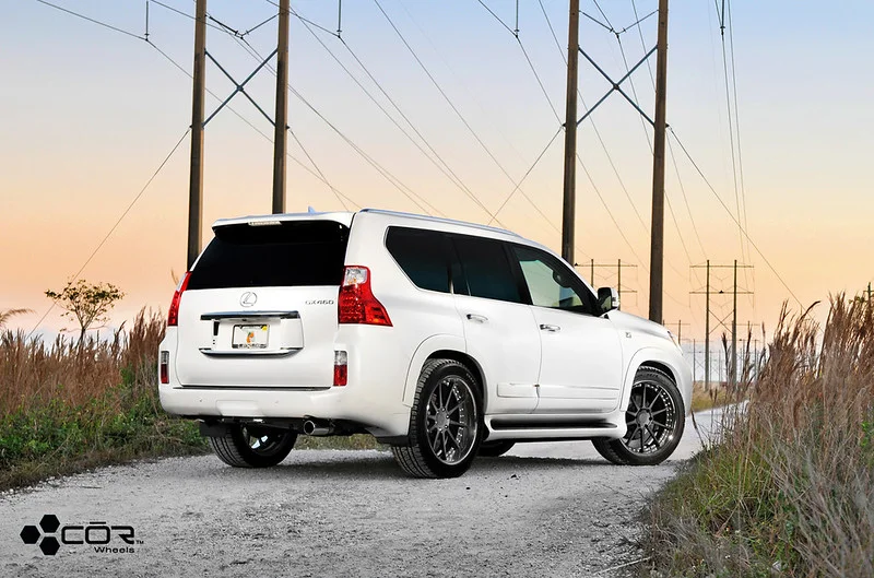 White Lexus GX