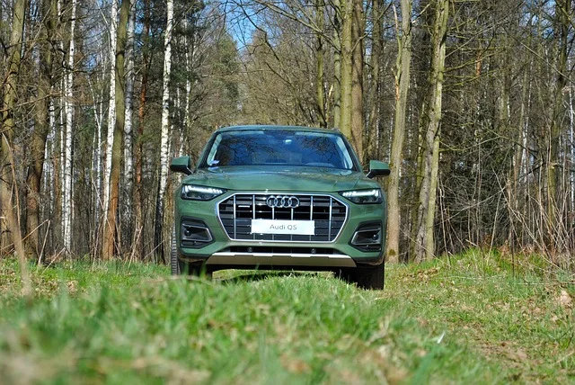 Green Audi Q5 in the woods