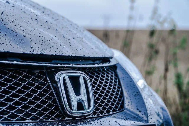 Honda front grill