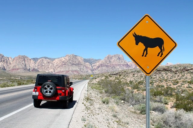 Jeep Wrangler in the desert