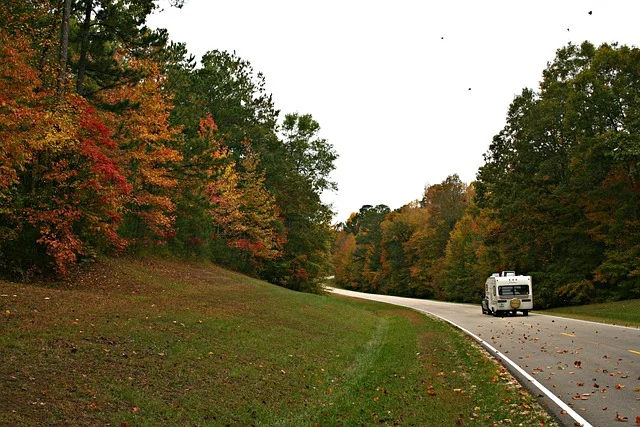 Road in Mississippi