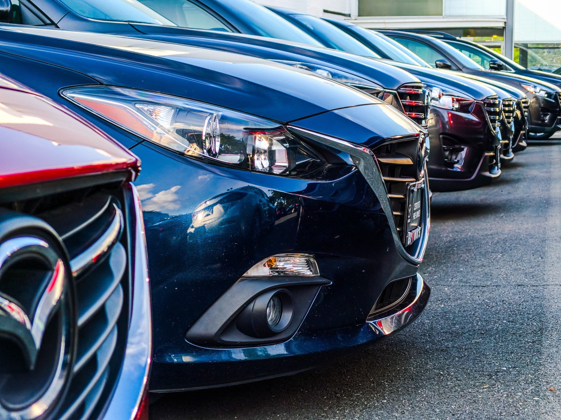 cars lined up on dealership lot