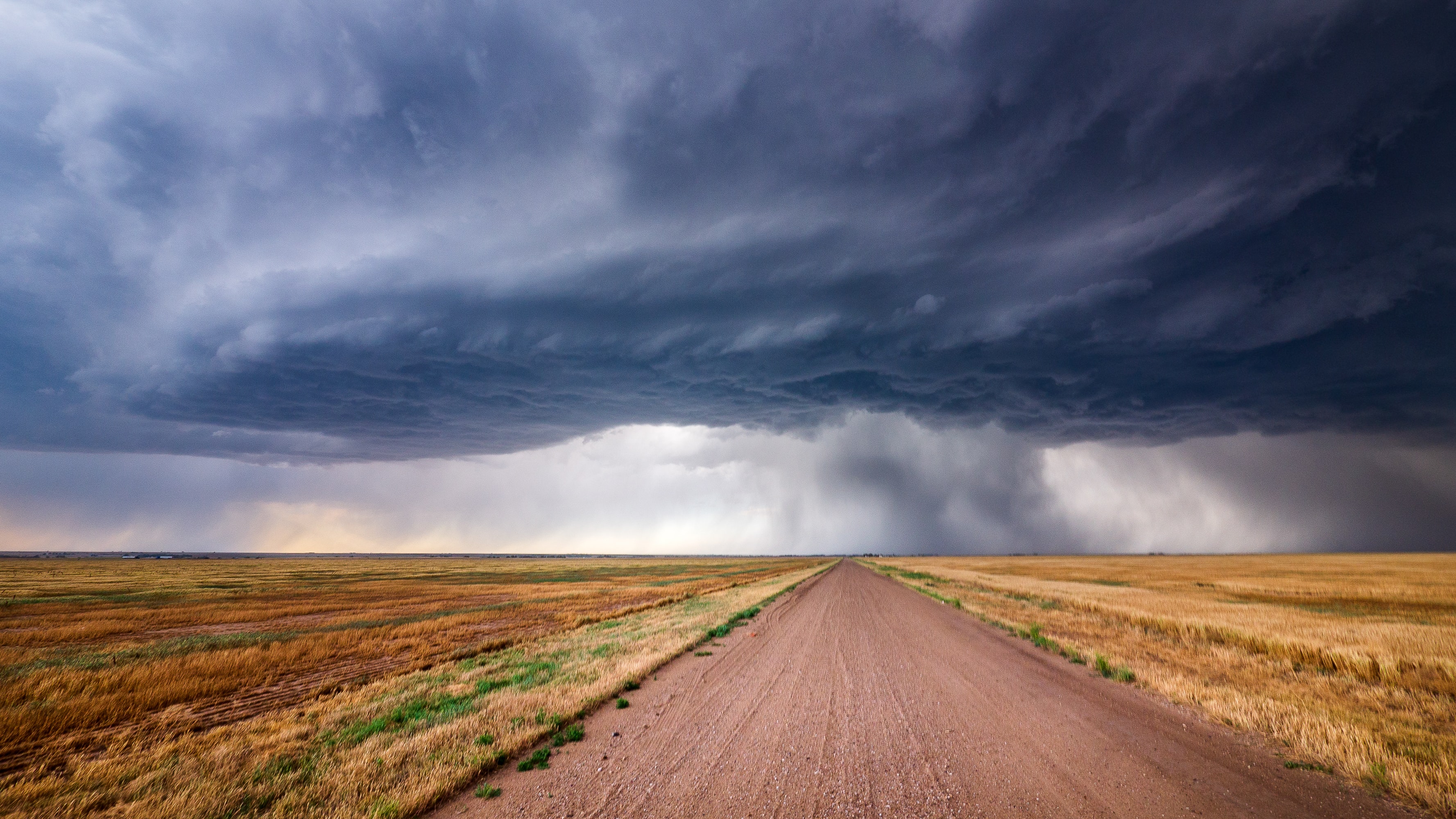 Field in Kansas